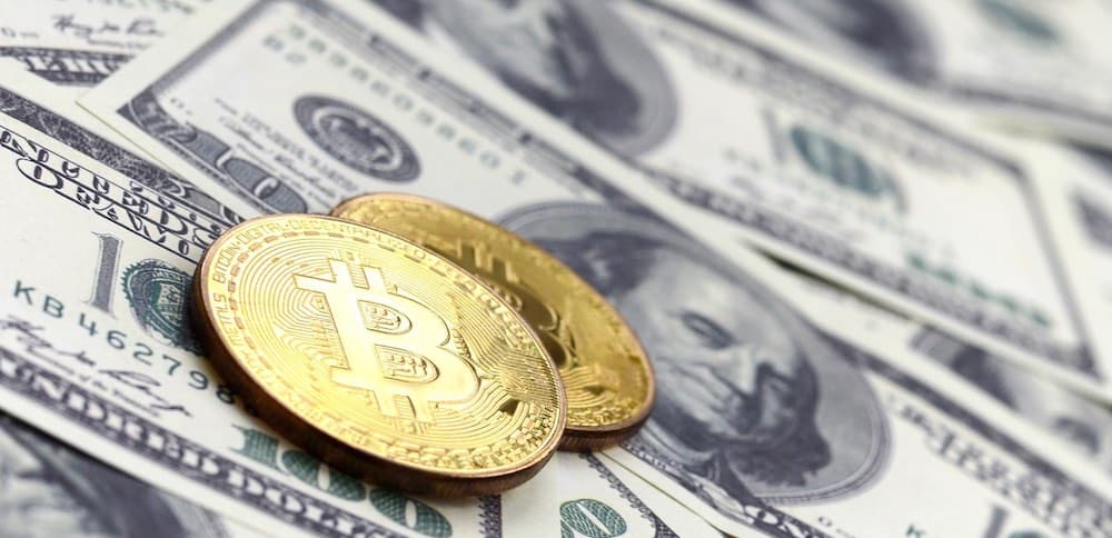 bitcoin investors