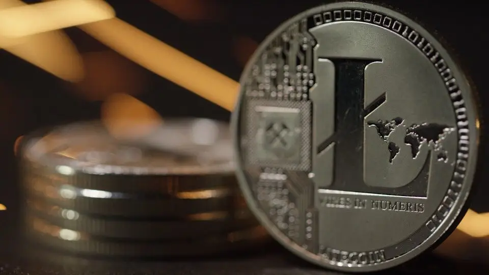 The litecoin