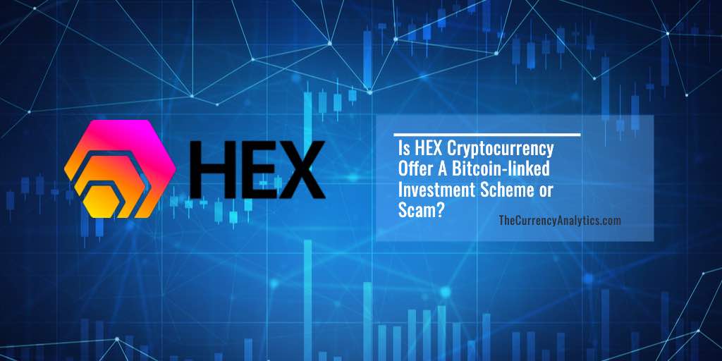 HEX Cryptocurrency Scam or not
