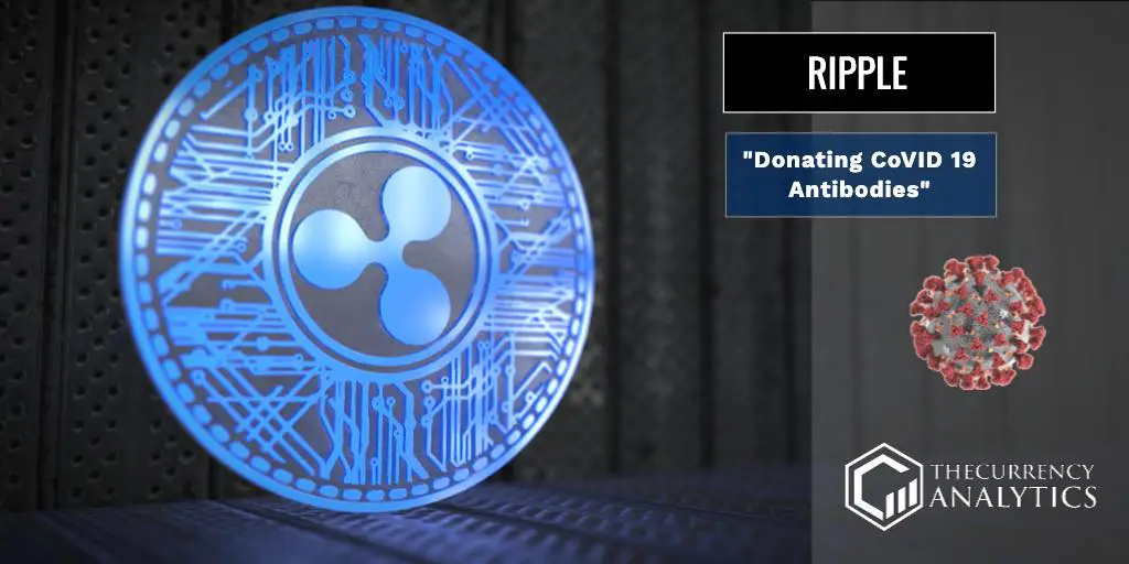 ripple xrp covid 19 coronavirus brad