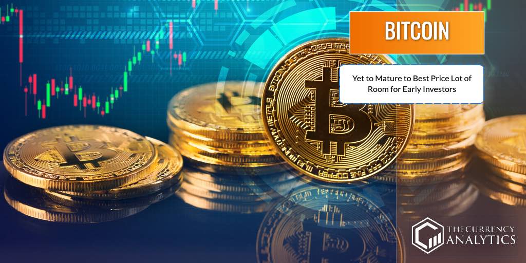 bitcoin btc investors