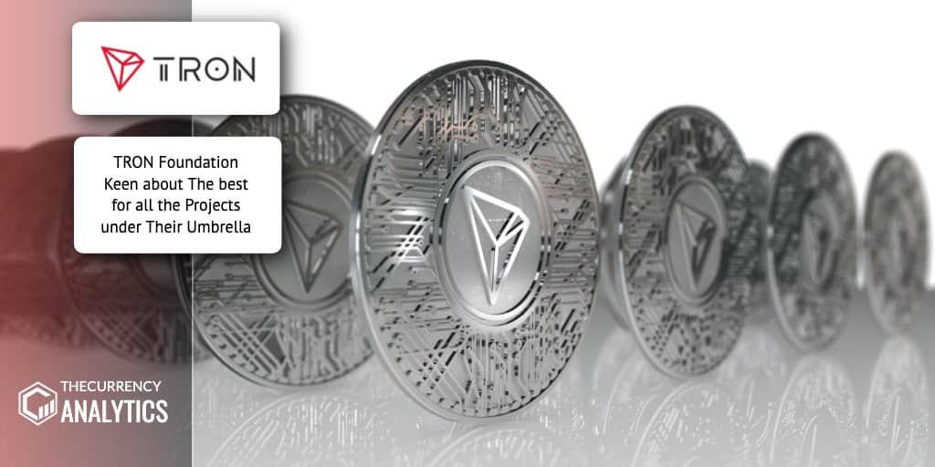 Tron Foundation Umbrella TRX