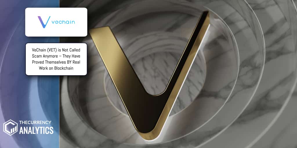 Vechain Blockchain