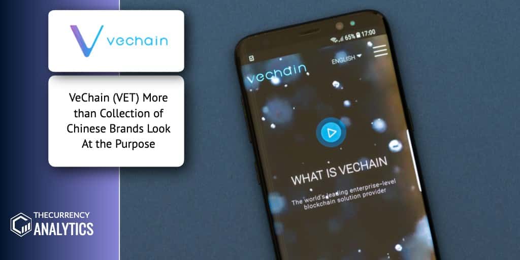 Vechain VET Chinese Brand