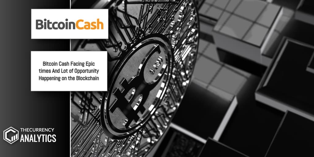 Bitcoin Cash BCH Blockchain