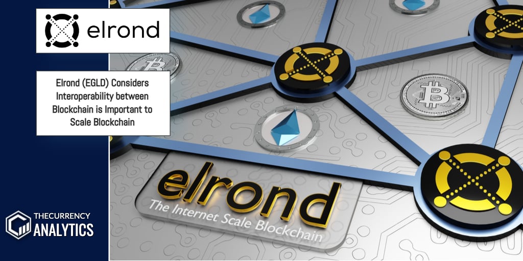 Elrond EGLD blockchain