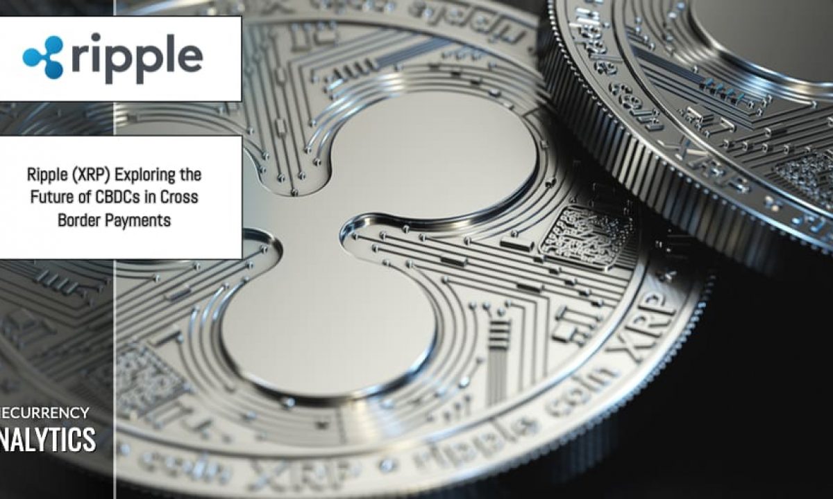 What Is Future Of Ripple - Bitcoin News And Information Future Of Ripple Cryptocurrency Om Sai / According to brad garlinghouse, the founder of ripple, the xrp will be as successful in the future as amazon today.