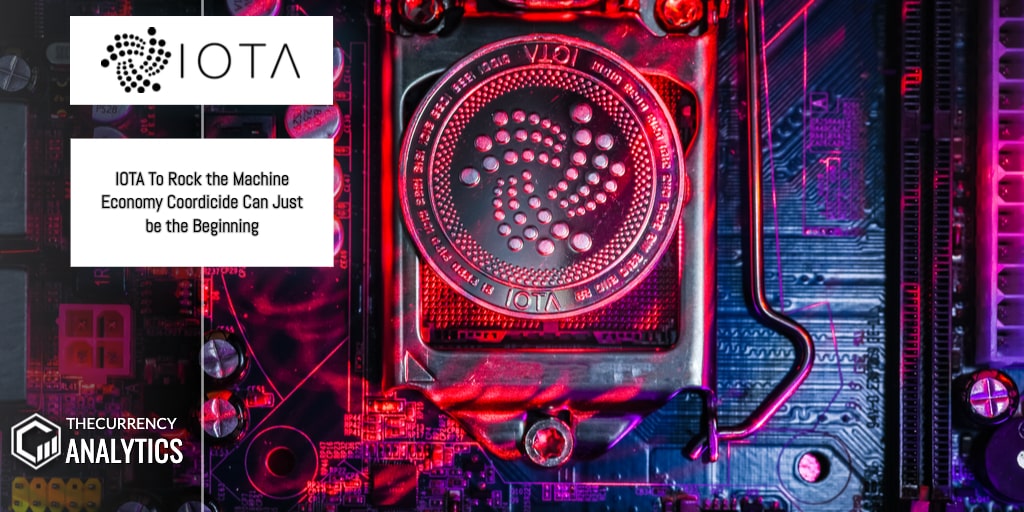 iota Coodicide
