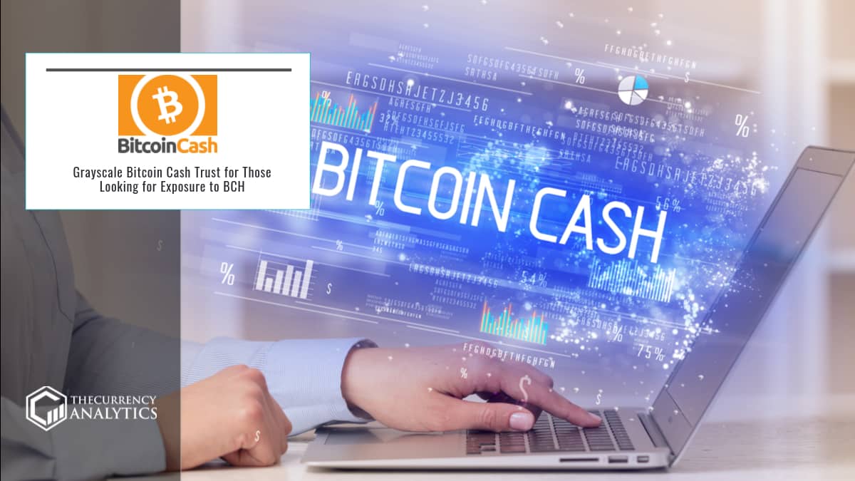 Bitcoin Cash Upgrade