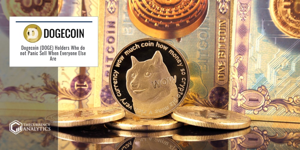 Dogecoin holders reddit crypto currency ring signatures