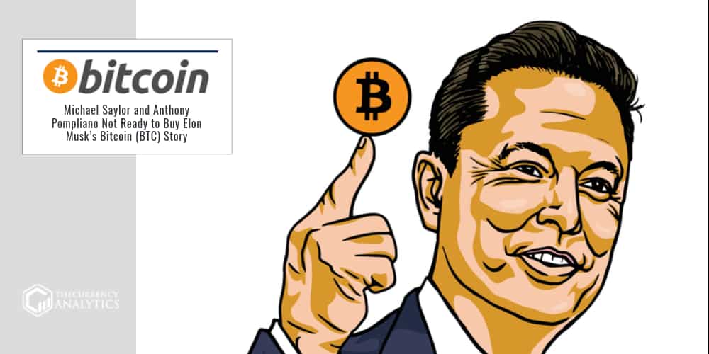 Elon Musk Bitcoin