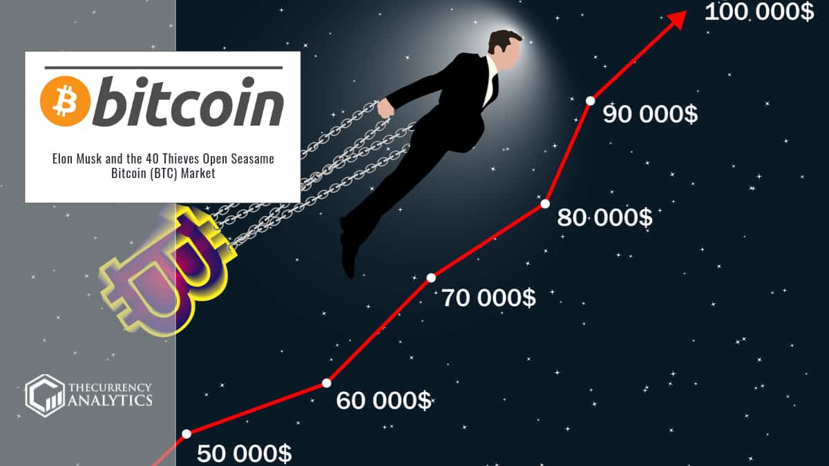 Elon Musk Bitcoin Market