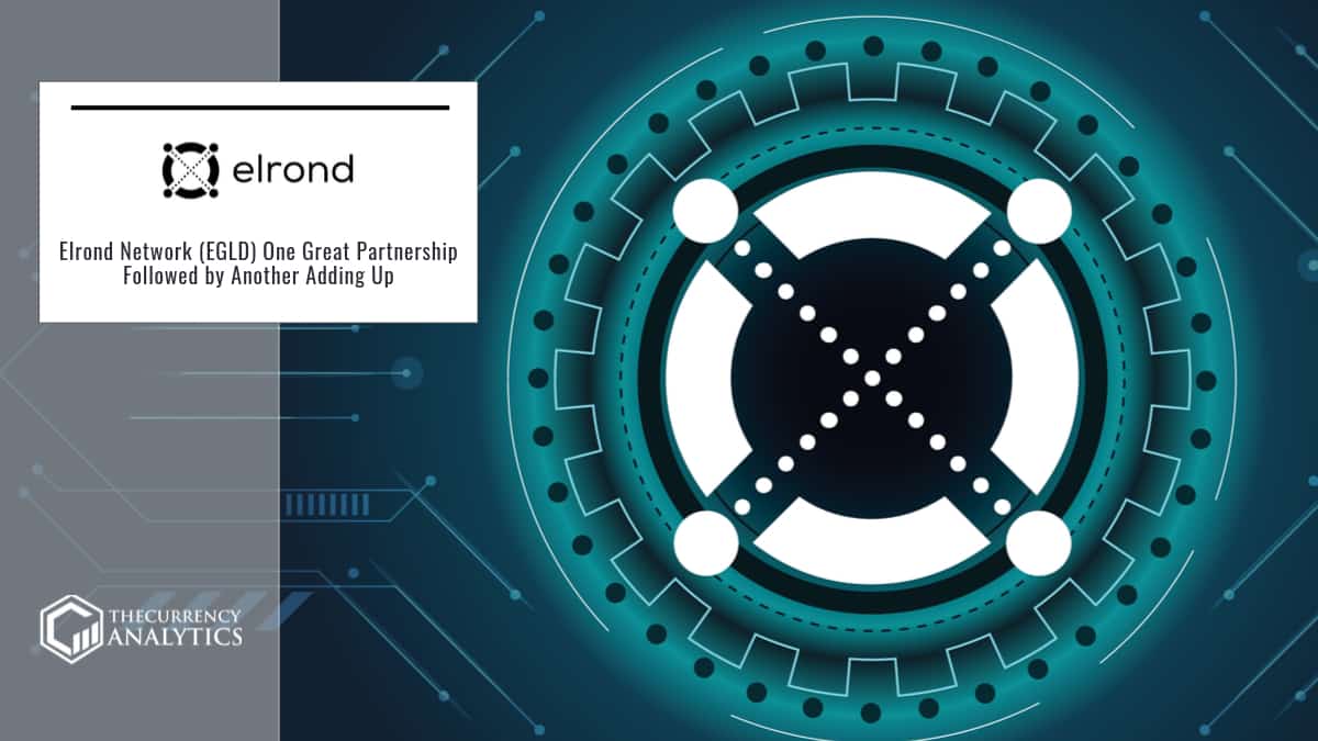 Elrond Network
