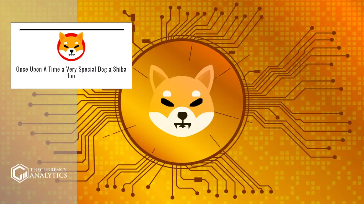 Shiba Inu