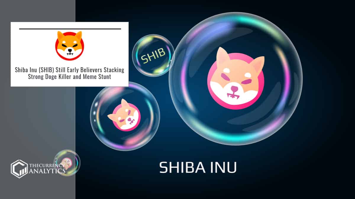 Shiba Inu SHIB
