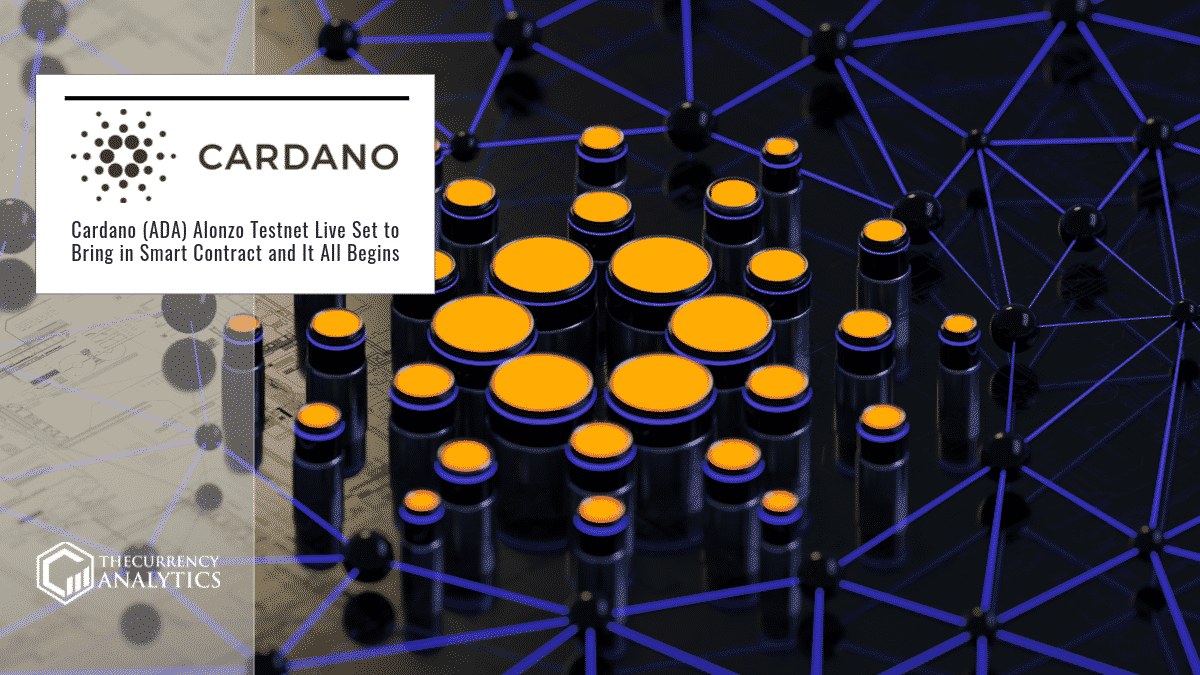 cardano testnet