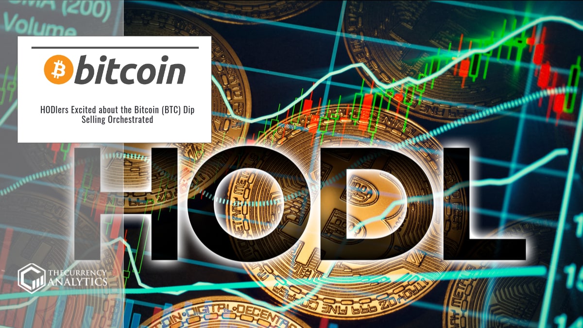 hodl bitcoin