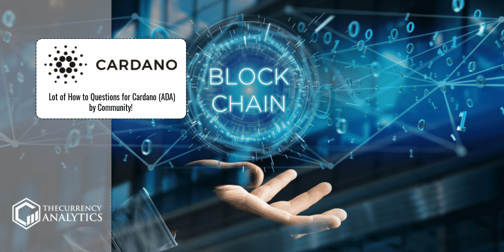 Construir um jogo do bicho na blockchain da Cardano resolveria os  principais problemas do jogo de azar mais popular do Brasil - Português -  Cardano Forum