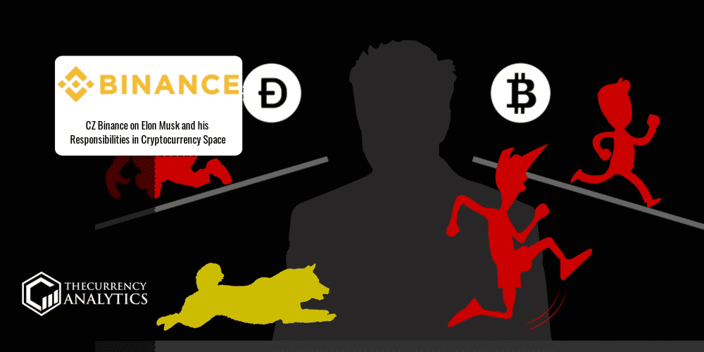 Elon Musk Responsibility Cryptocurrency Space