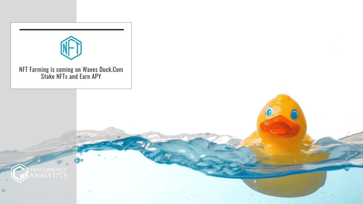 NFT Waves Duck