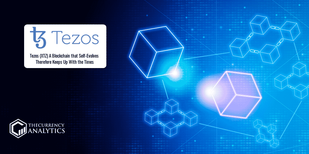 Tezos Blockchain Self Evolves