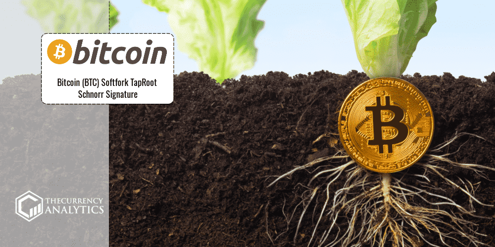 bitcoin tap root