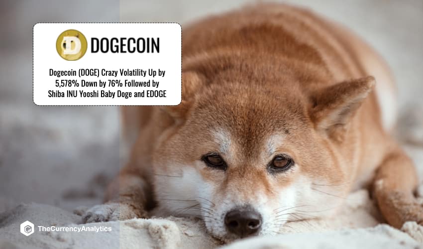 Doge Shiba