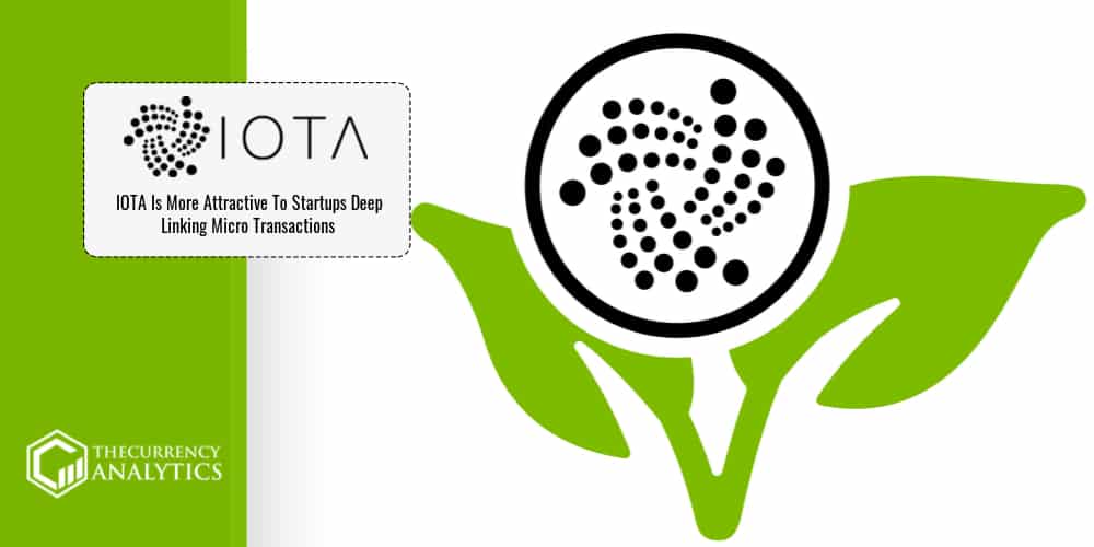 IOTA for Startups