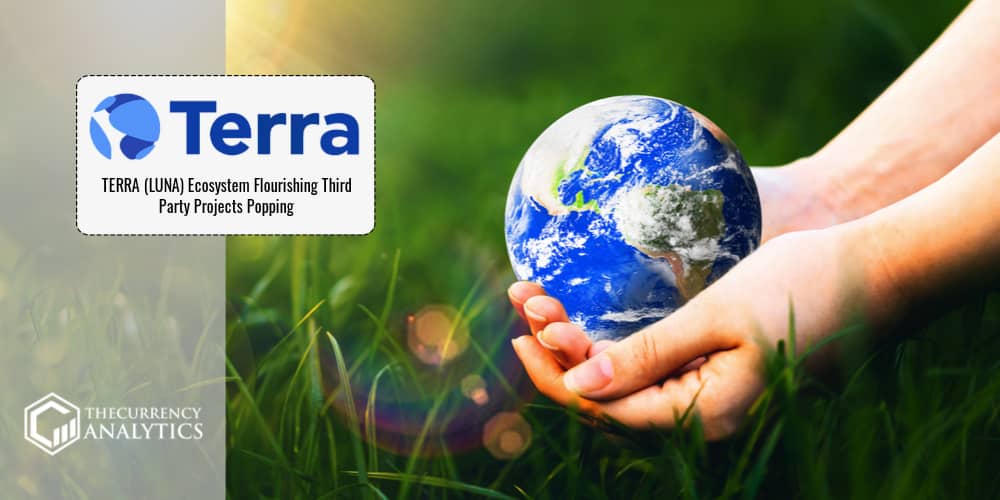 TERRA LUNA Ecosystem Flourishing
