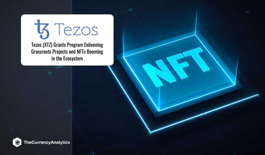 Tezos NFT Ecosystem