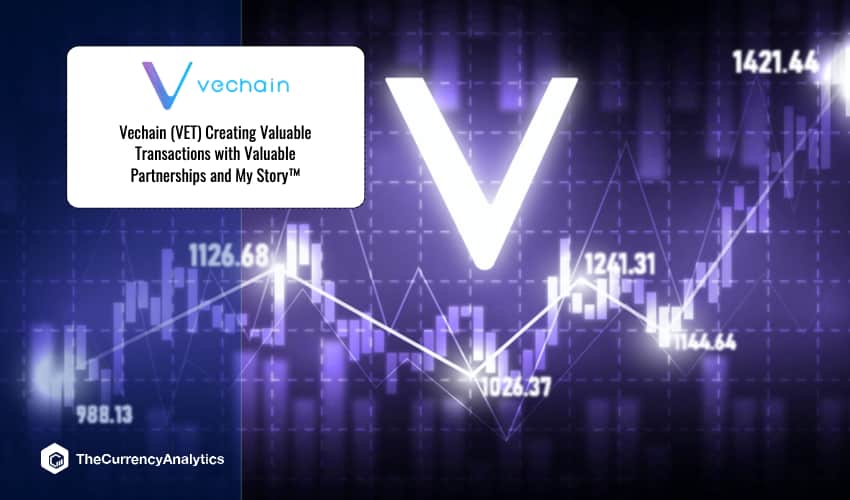 Vechain Transations