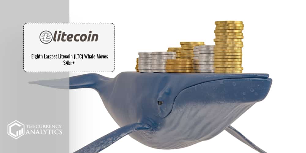 litecoin Whale