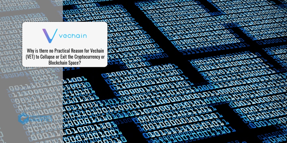 vechain blockchain technology