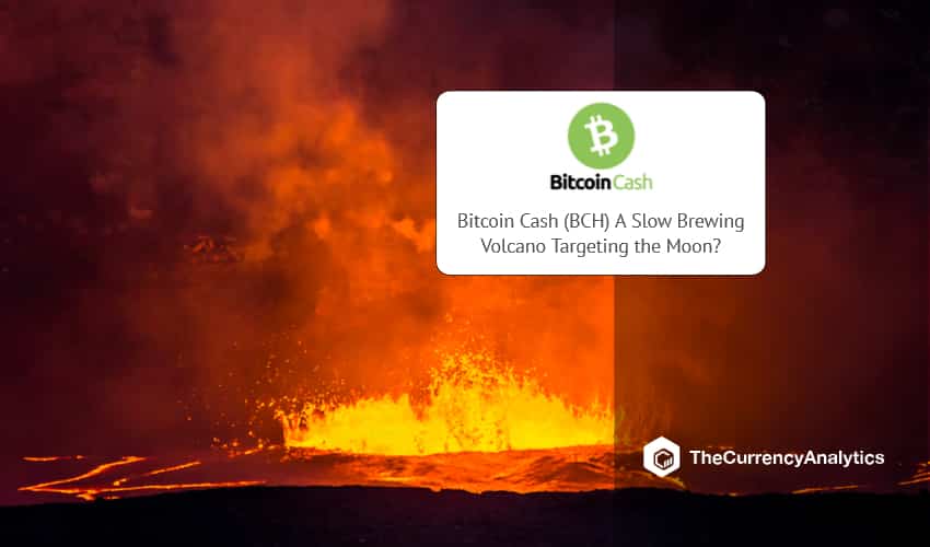 Bitcoin Cash