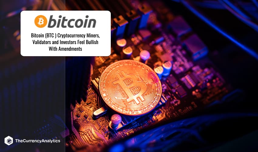 Bitcoin Validators