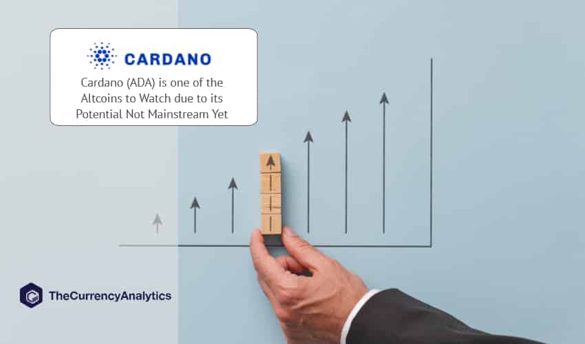 Cardano