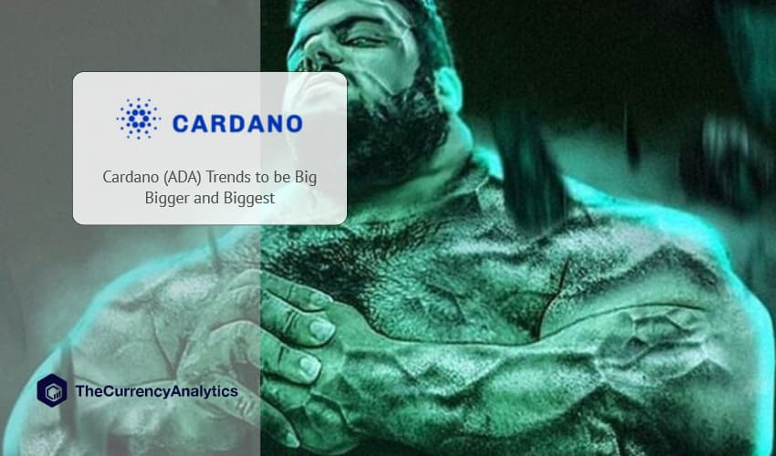 Cardano
