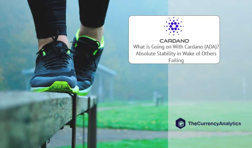 Cardano