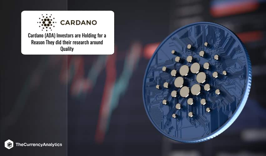 Cardano Ada Invest