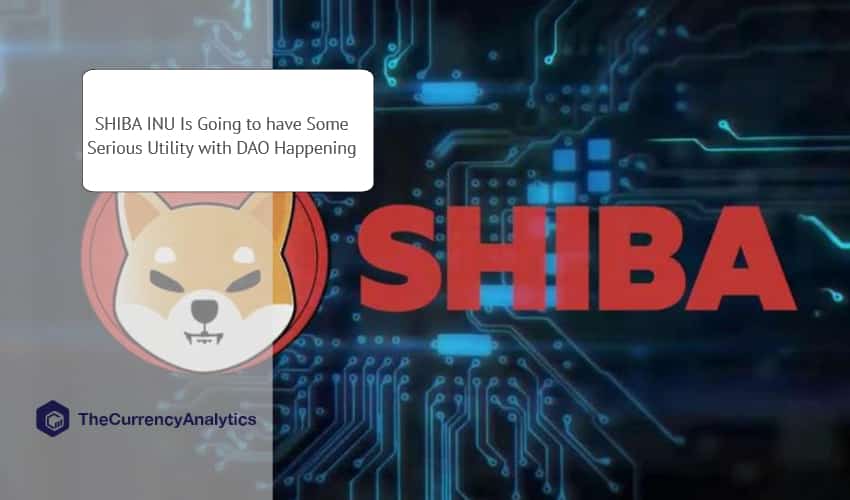 Shiba