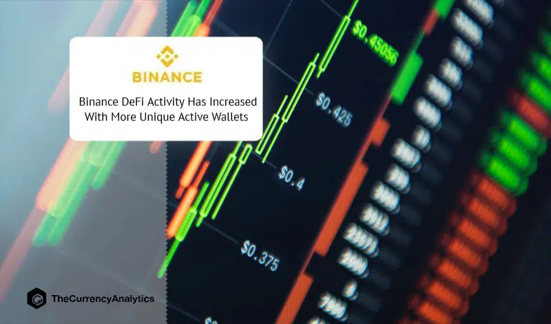 Binance DeFi Activity Has Increased With More Unique Active Wallets