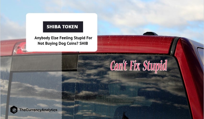 Anybody Else Feeling Stupid For Not Buying Dog Coins SHIB