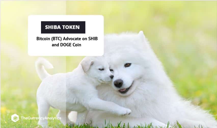 Bitcoin (BTC) Advocate on SHIB and DOGE Coin