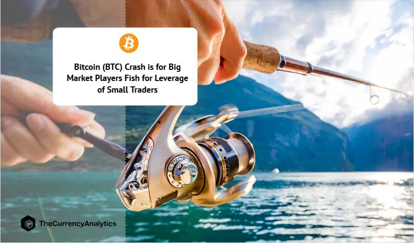 Bitcoin (BTC) Crash is for Big Market Players Fish for Leverage of Small Traders