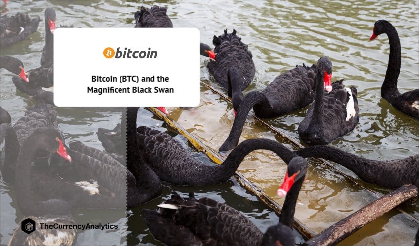 Bitcoin (BTC) and the Magnificent Black Swan