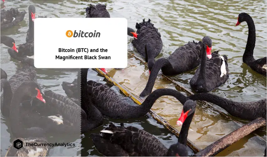 Bitcoin (BTC) and the Magnificent Black Swan