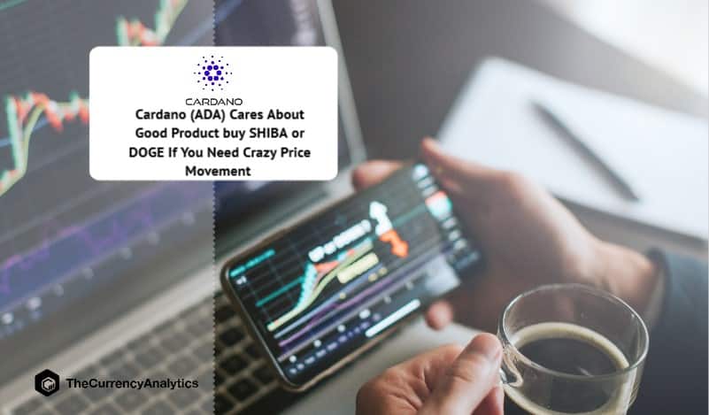 Cardano (ADA) Cares About Good Product buy SHIBA or DOGE If You Need Crazy Price Movement