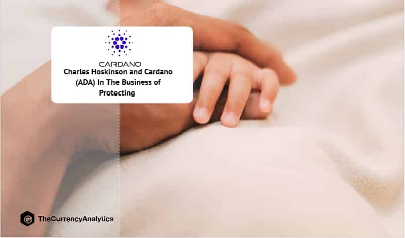 Charles Hoskinson and Cardano (ADA) In The Business of Protecting