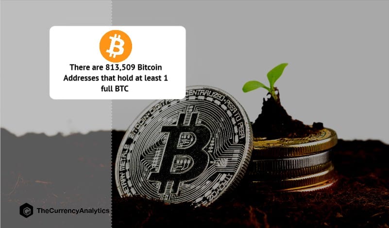 There are 813,509 Bitcoin Addresses that hold at least 1 full BTC