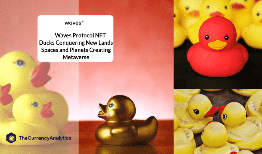 Wave Duck Game (nft). What is waves duck game ?, by Akash